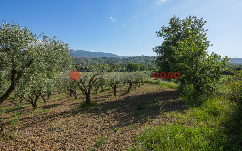 Due Gioielli Della Terra Cilentana-Rif.060525