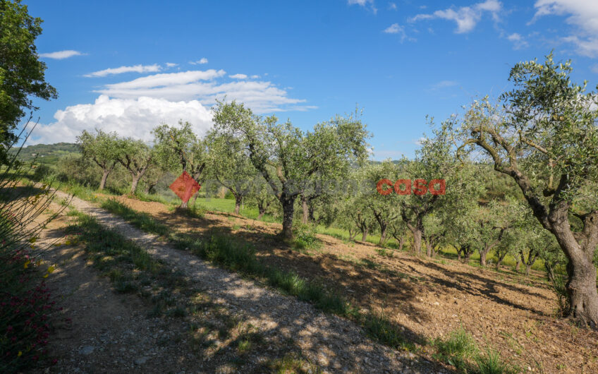 Due Gioielli Della Terra Cilentana-Rif.060525