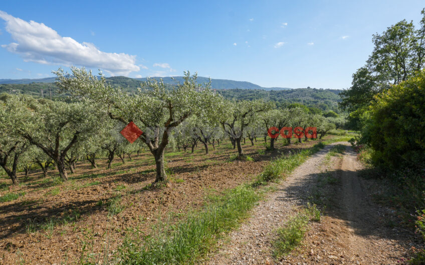 Due Gioielli Della Terra Cilentana-Rif.060525