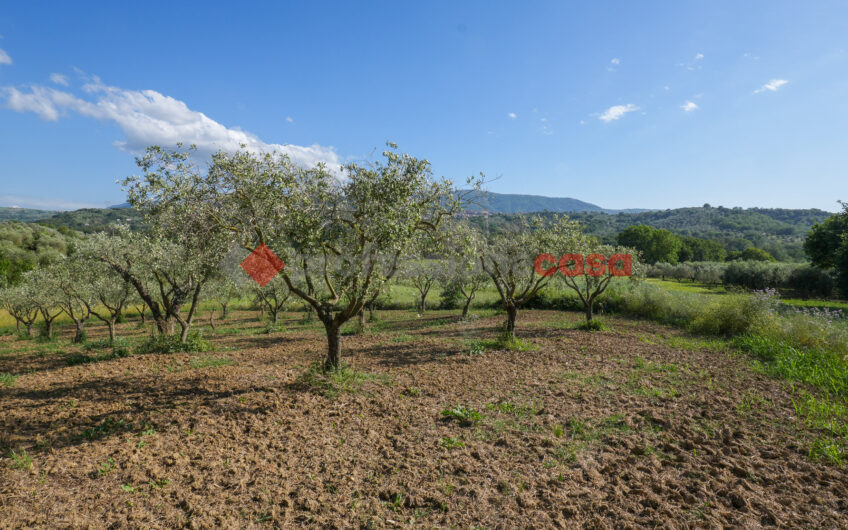 Due Gioielli Della Terra Cilentana-Rif.060525