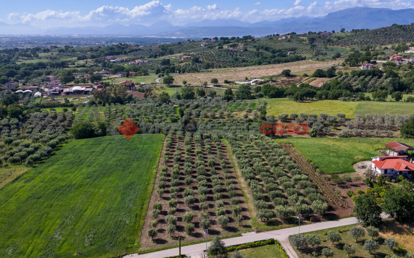 Due Gioielli Della Terra Cilentana-Rif.060525
