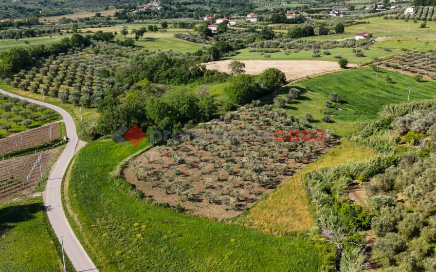Due Gioielli Della Terra Cilentana-Rif.060525
