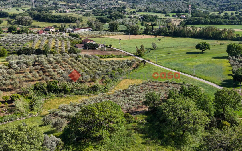 Due Gioielli Della Terra Cilentana-Rif.060525