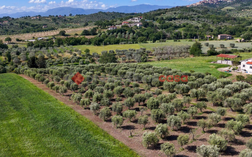 Due Gioielli Della Terra Cilentana-Rif.060525