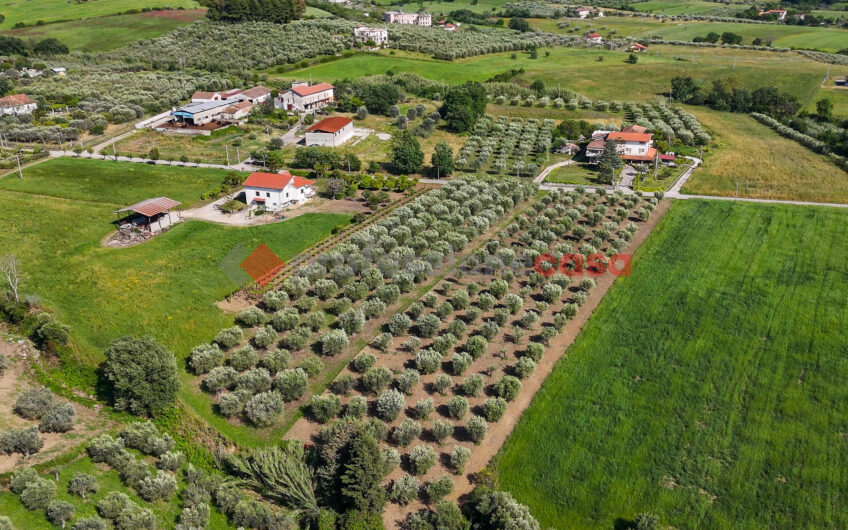 Due Gioielli Della Terra Cilentana-Rif.060525