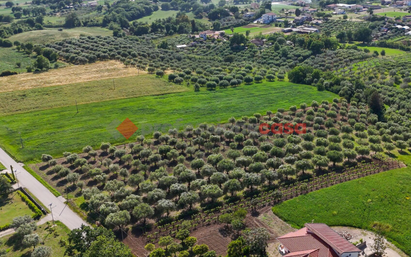 Due Gioielli Della Terra Cilentana-Rif.060525