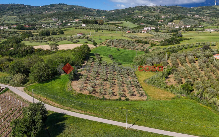 Due Gioielli Della Terra Cilentana-Rif.060525