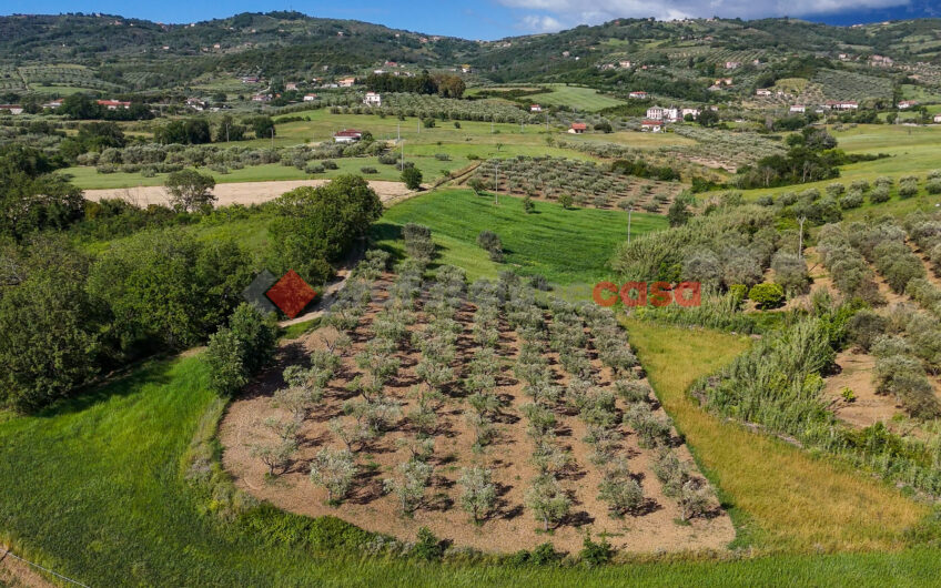 Due Gioielli Della Terra Cilentana-Rif.060525