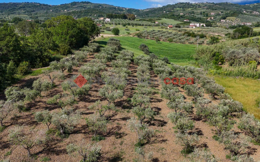 Due Gioielli Della Terra Cilentana-Rif.060525