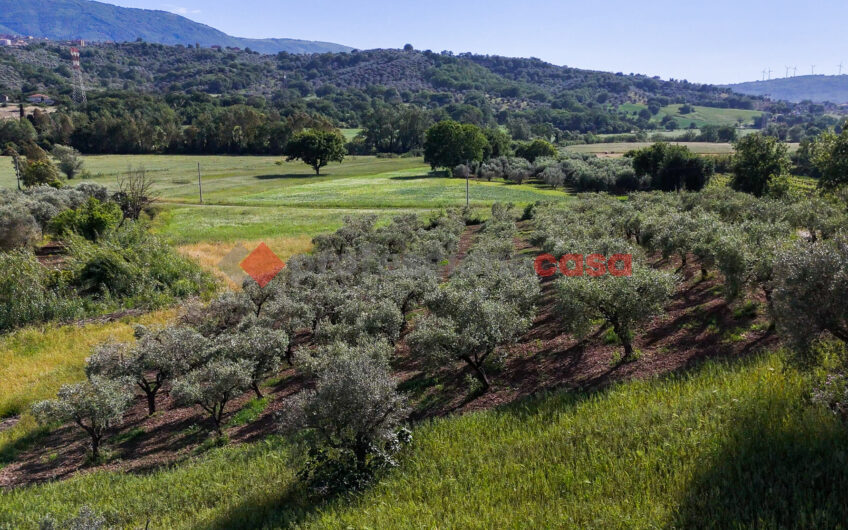 Due Gioielli Della Terra Cilentana-Rif.060525