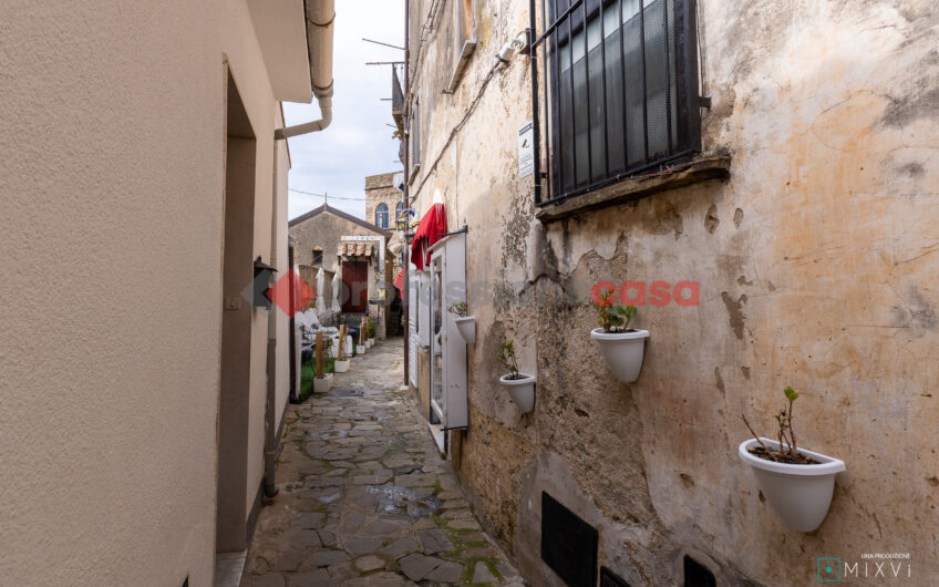 Vivere il borgo: Bilocale Ristrutturato Nel cuore di Castellabate-Rif.040525