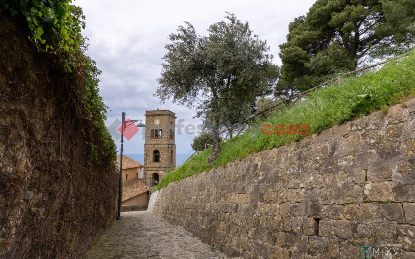 Vivere il borgo: Bilocale Ristrutturato Nel cuore di Castellabate-Rif.040525