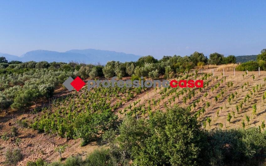 Due Appartamenti, un Solo Investimento-Rif.200625
