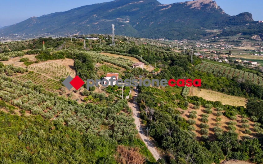 Due Appartamenti, un Solo Investimento-Rif.200625