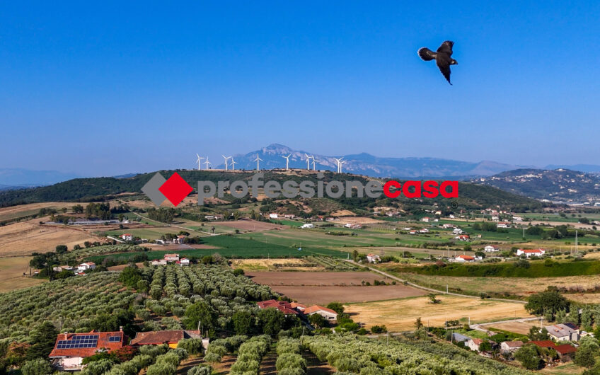 Due Appartamenti, un Solo Investimento-Rif.200625