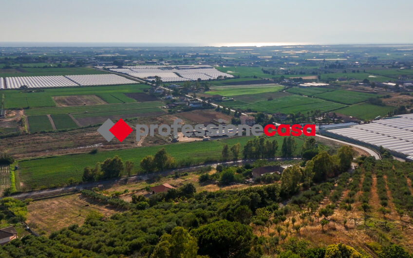 Due Appartamenti, un Solo Investimento-Rif.200625