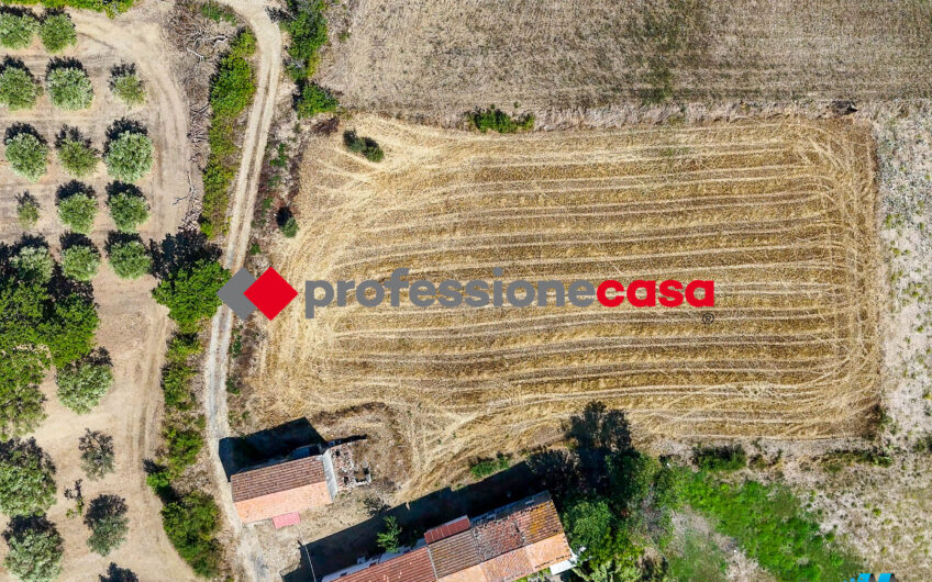 Indipendenza e Spazio Verde a Capaccio Paestum-Rif.280725