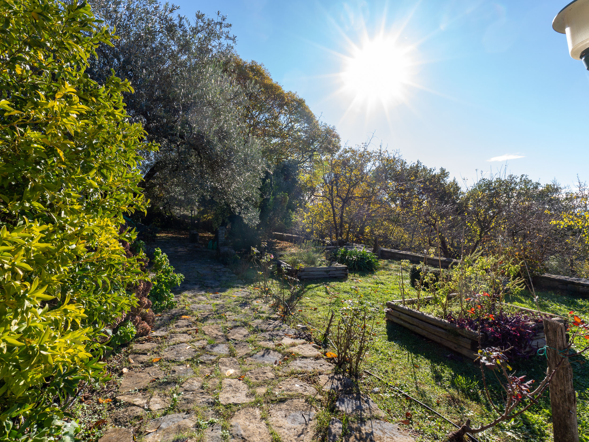 Una Villa Che Fa Sentire Tutti A Casa, Anche Gli Ospiti-Rif.291125