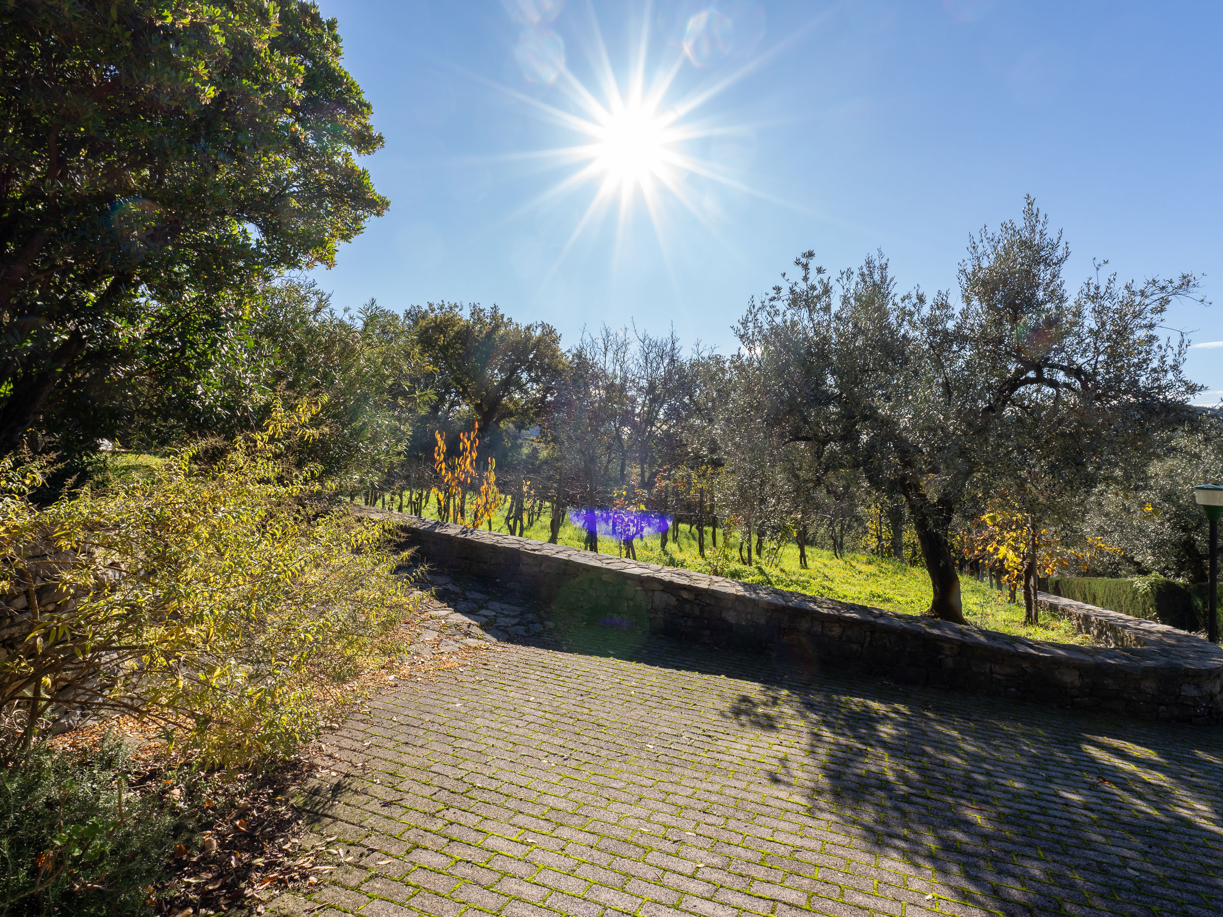 Una Villa Che Fa Sentire Tutti A Casa, Anche Gli Ospiti-Rif.291125