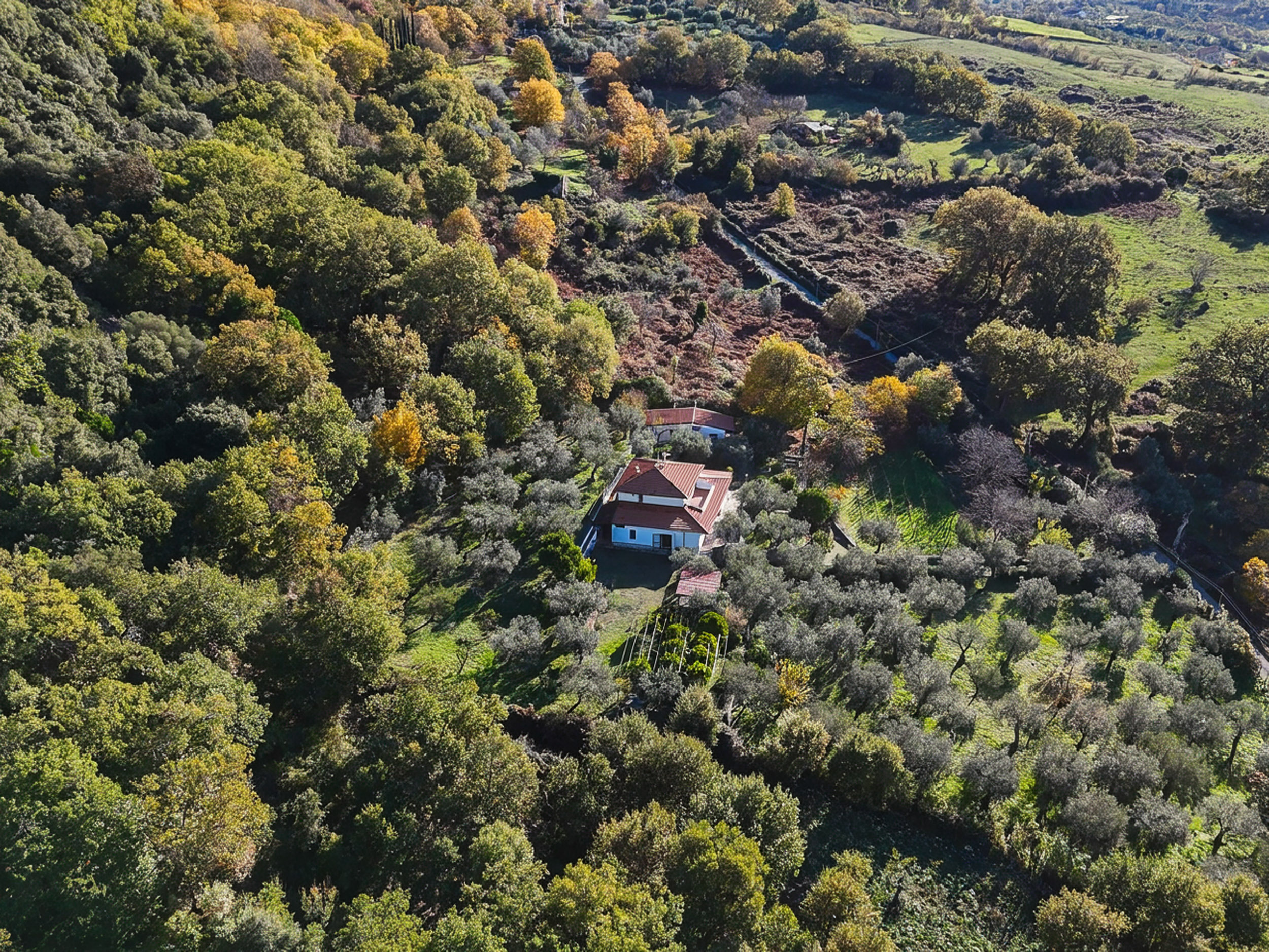 Una Villa Che Fa Sentire Tutti A Casa, Anche Gli Ospiti-Rif.291125