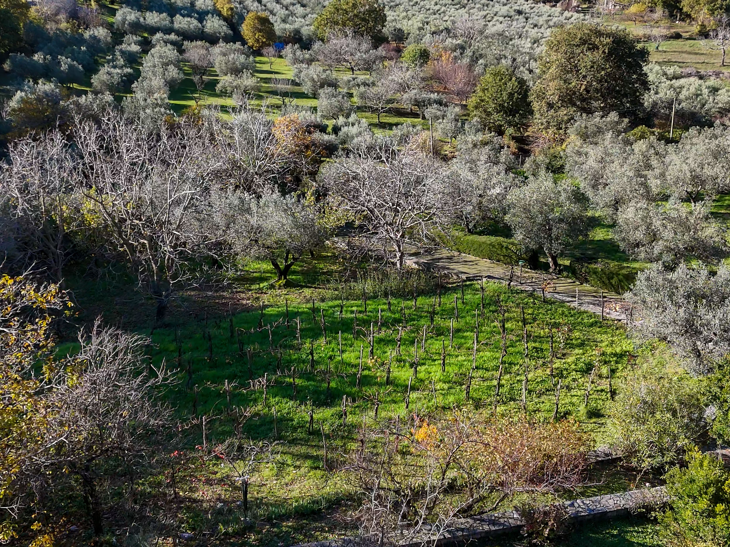 Una Villa Che Fa Sentire Tutti A Casa, Anche Gli Ospiti-Rif.291125
