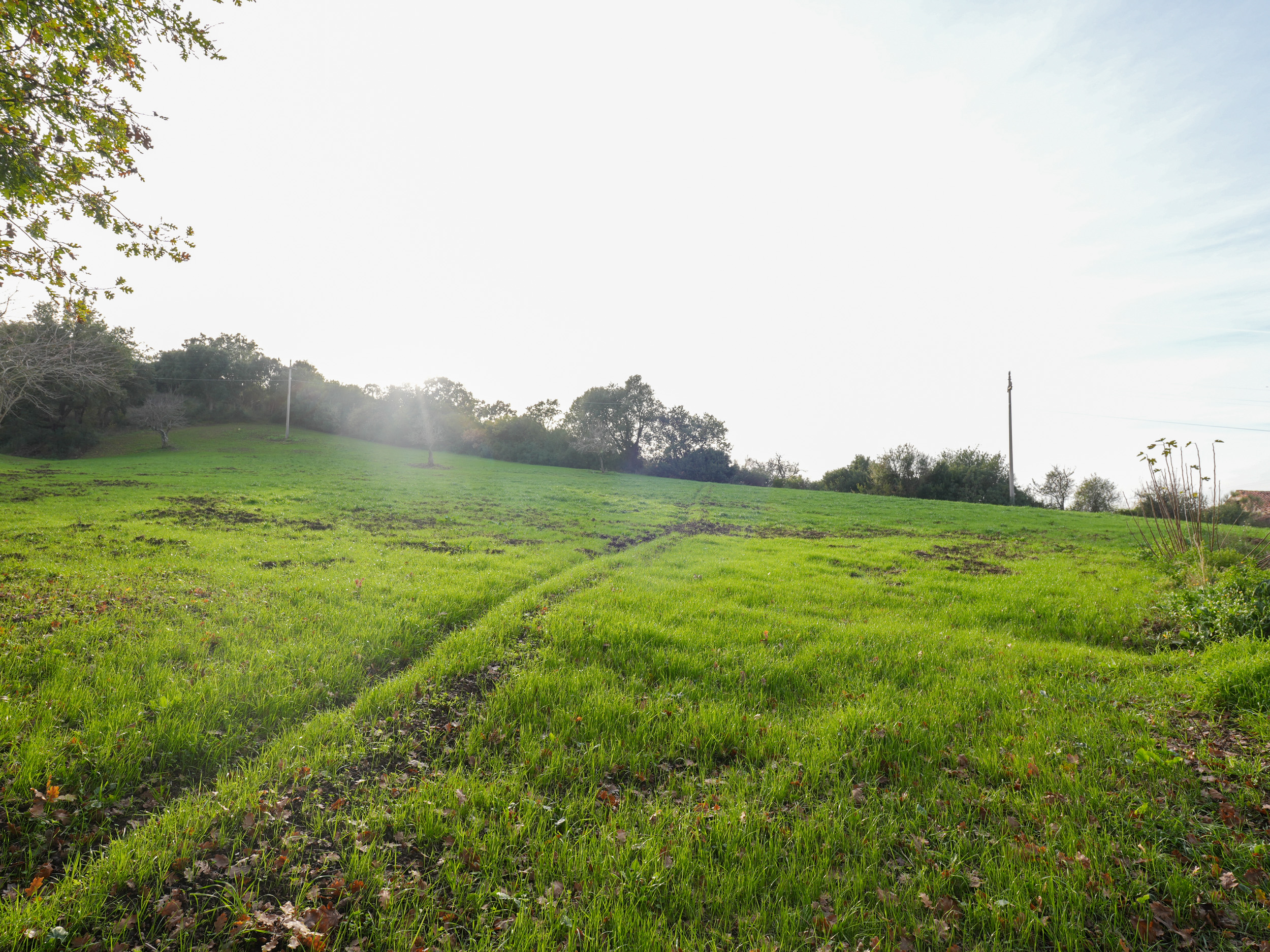 Una Struttura, Infinite Possibilità- Rif.191225