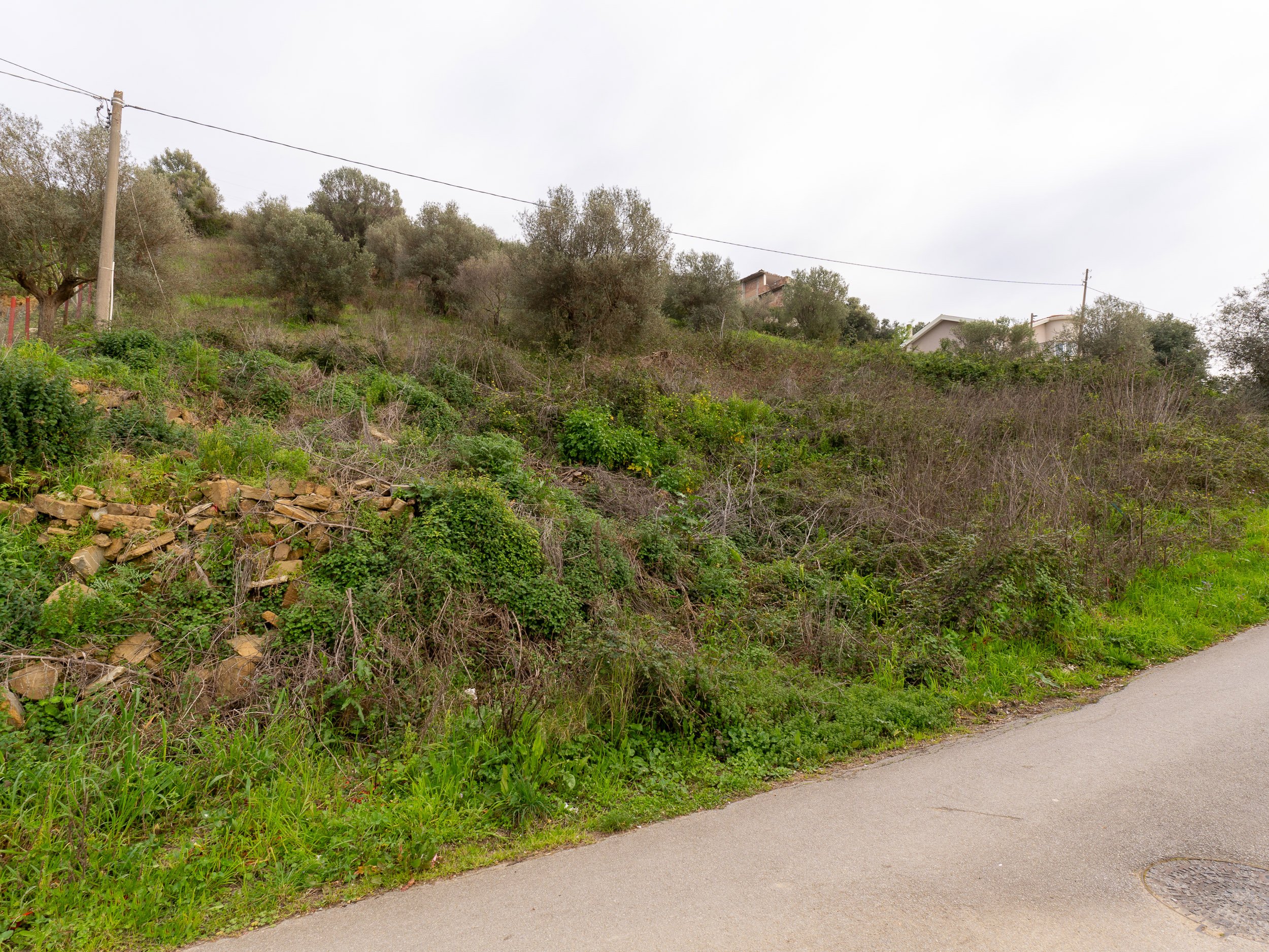 Dove il Sogno Prende Forma. Un’Esclusiva Dimora, Via Difesa-Cod.Rif:270226A