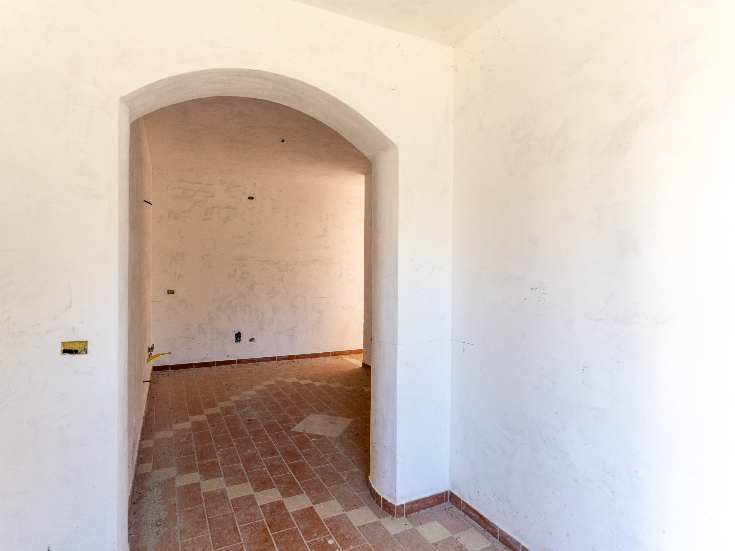 Terra, Struttura, Visione: Qui Nasce il Business-Cod.Rif: 260226