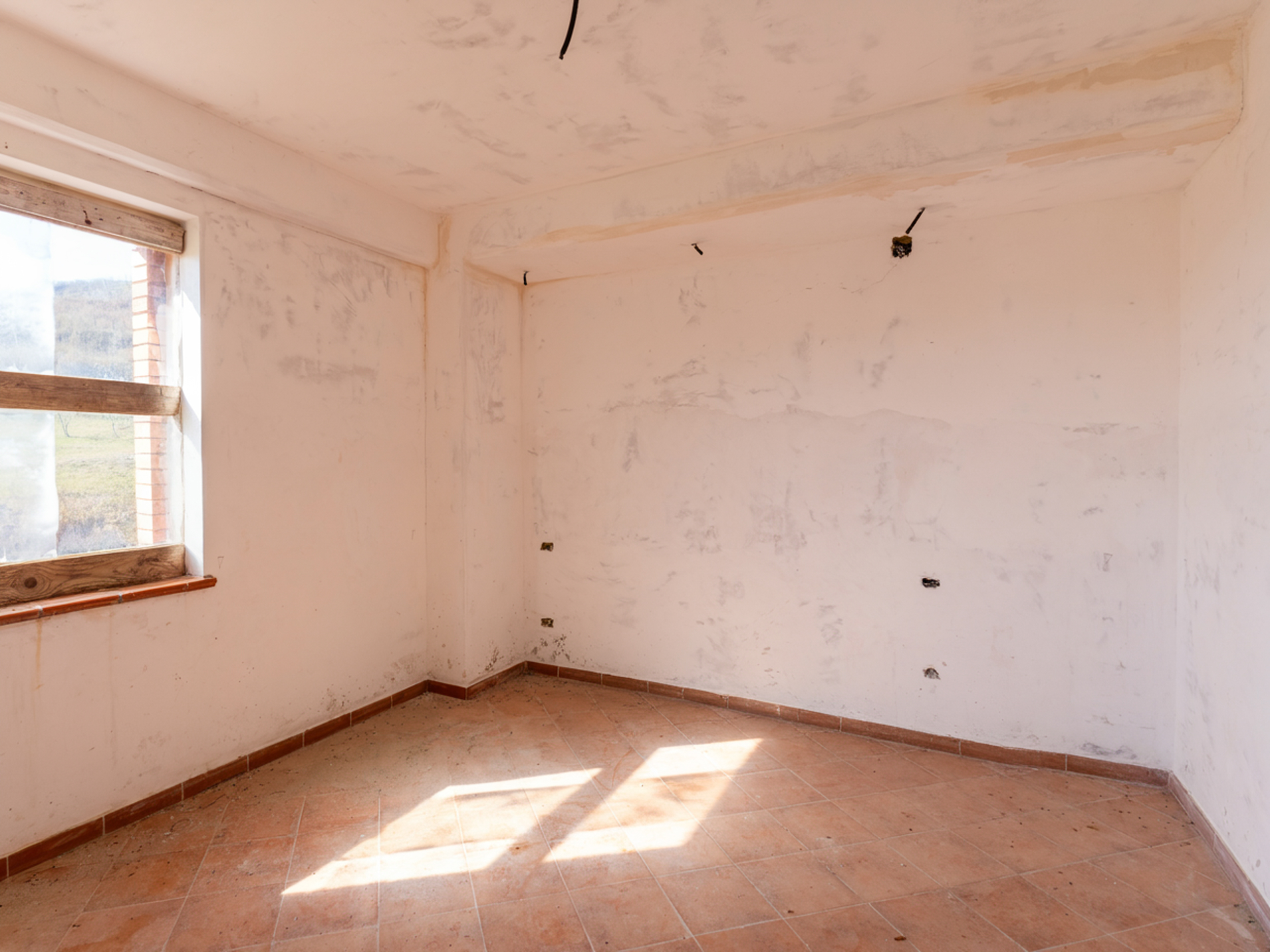 Terra, Struttura, Visione: Qui Nasce il Business-Cod.Rif: 260226