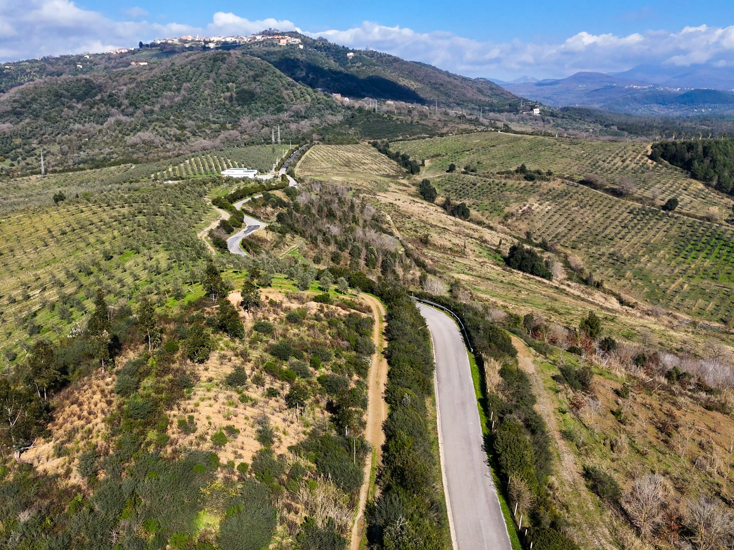 Terra, Struttura, Visione: Qui Nasce il Business-Cod.Rif: 260226