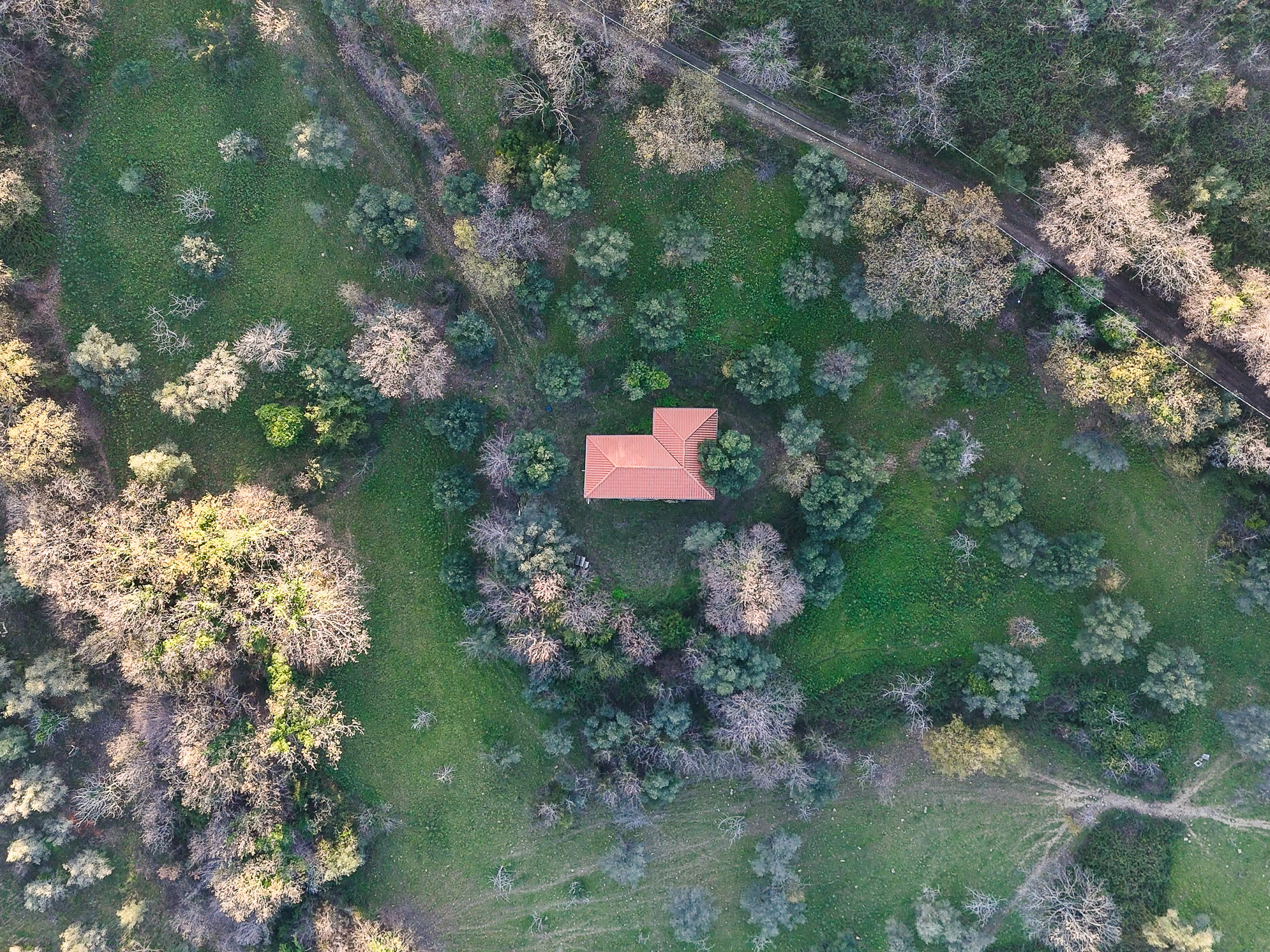 Casale nel cuore del Cilento con terreno Cod.Rif.260226B