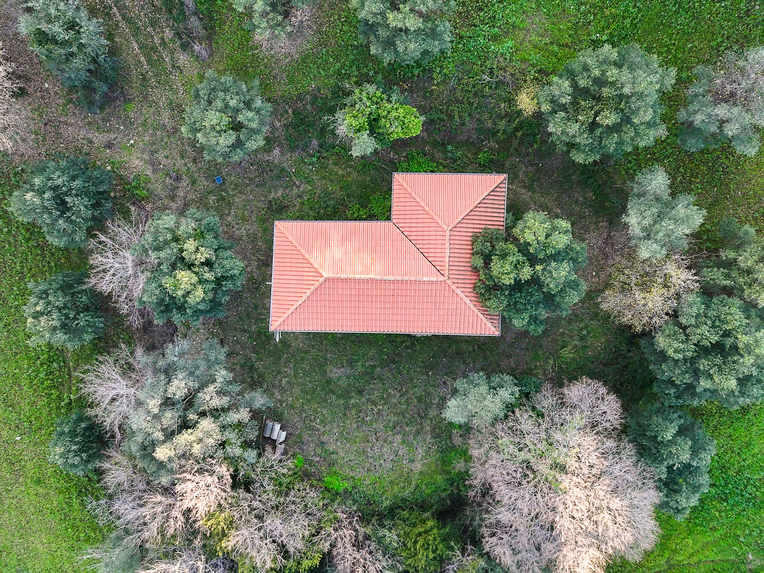 Casale nel cuore del Cilento con terreno Cod.Rif.260226B