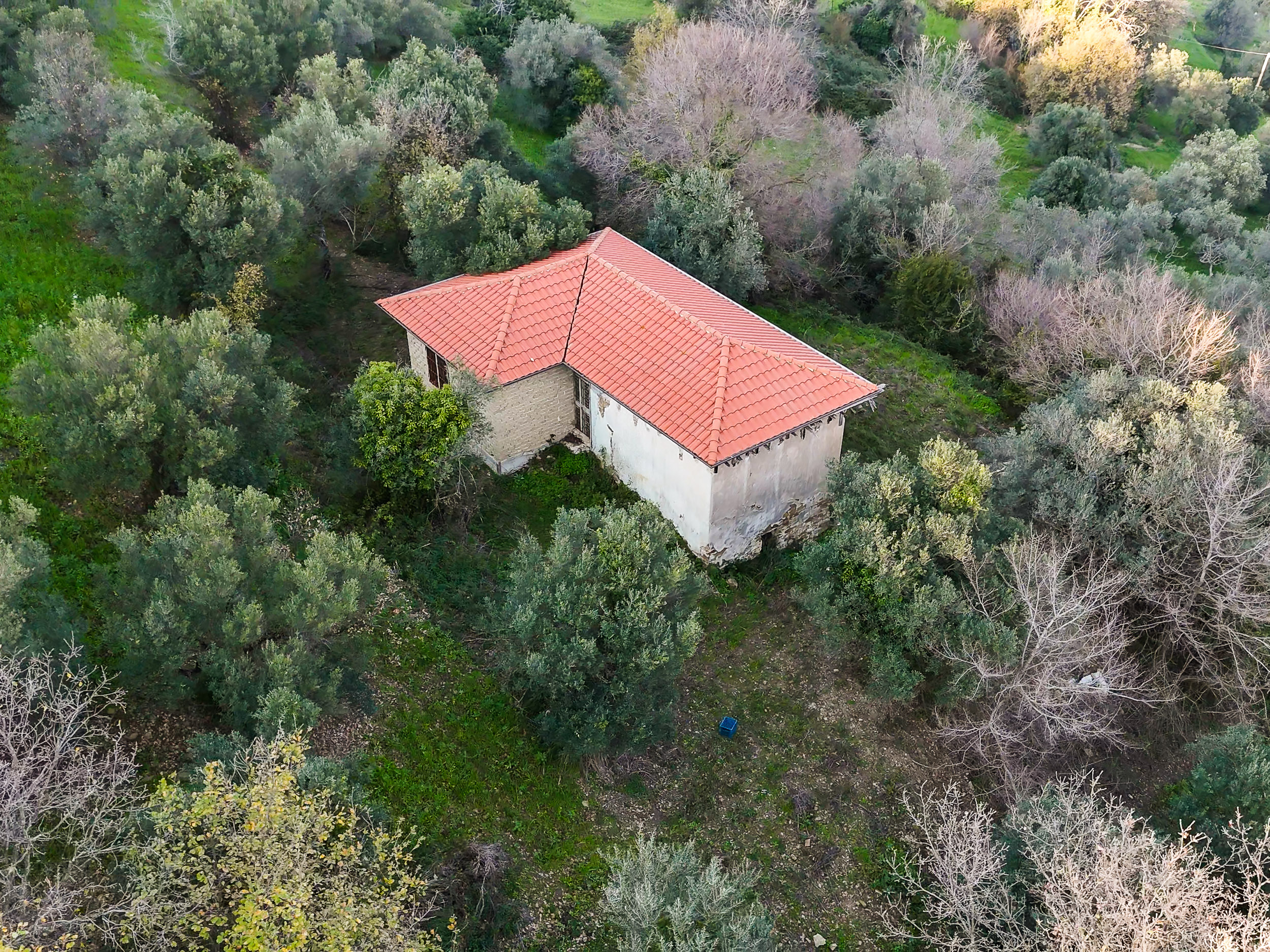 Casale nel cuore del Cilento con terreno Cod.Rif.260226B