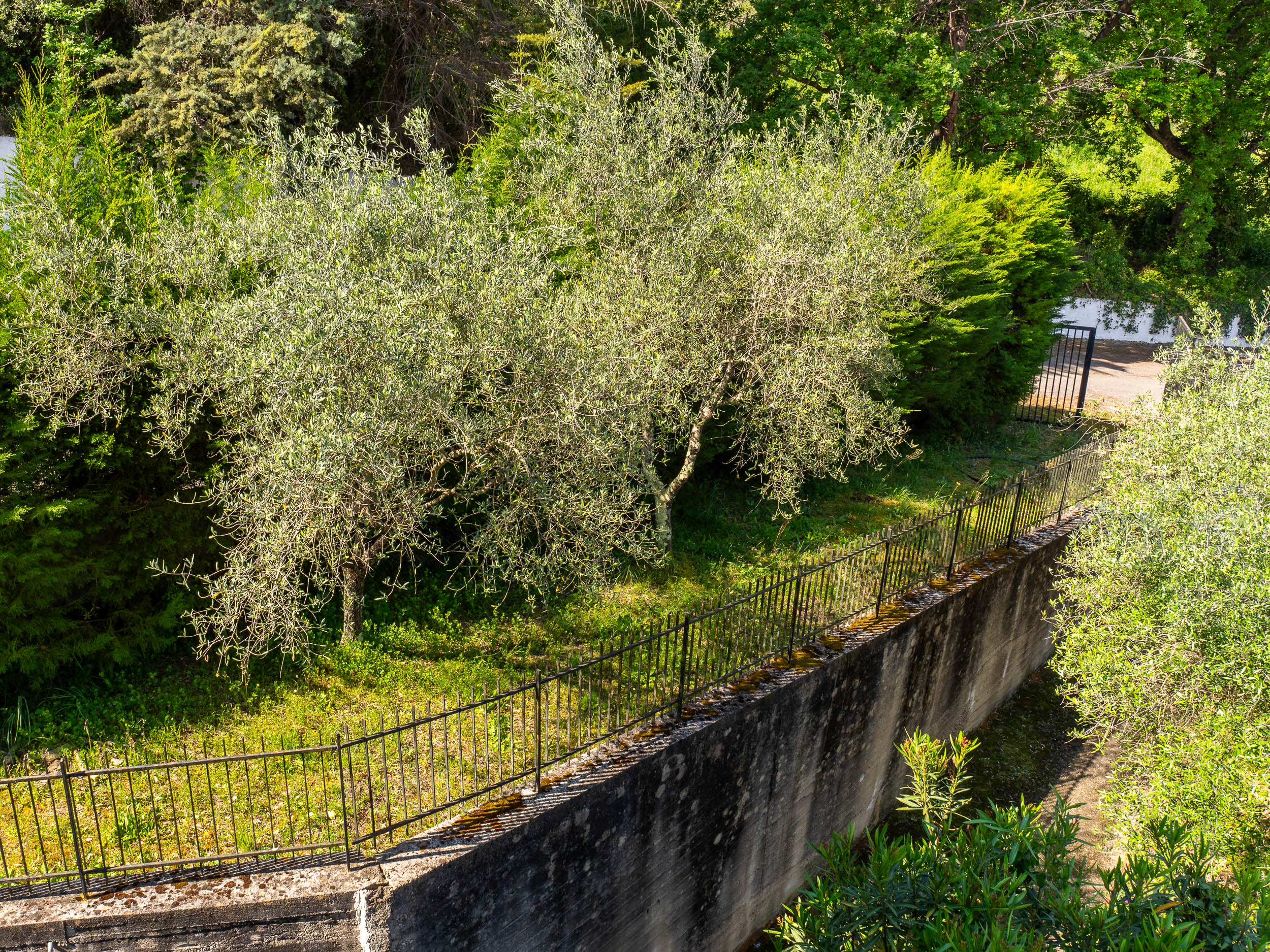 Oasi di Privacy a 10 minuti dal Mare di Agropoli-Cod.Rif:210426