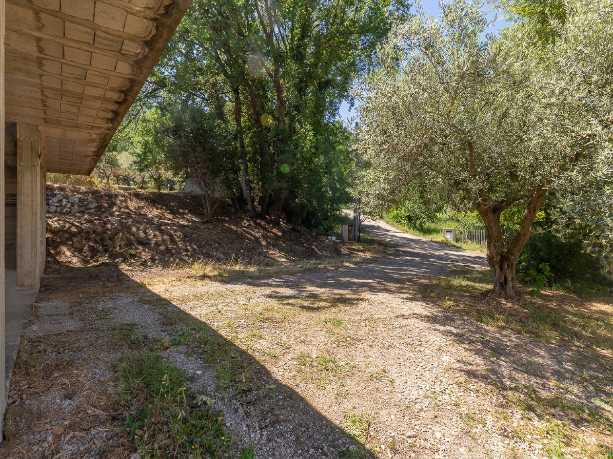 Tra ulivi e silenzi rurali: Struttura allo stato grezzo Cod.Rif15526A