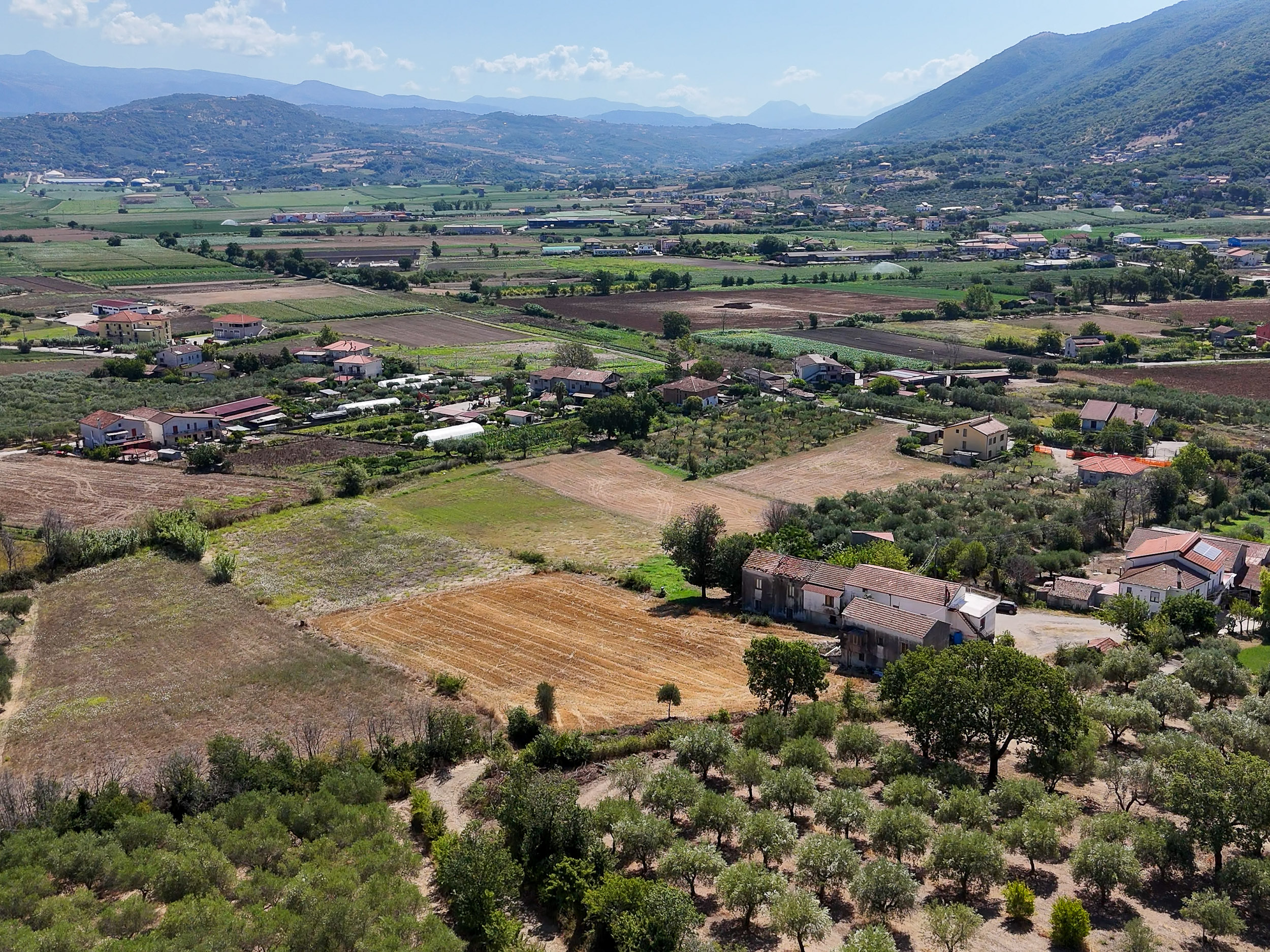 Dove le Idee Mettono Radici- Cod.Rif:150626