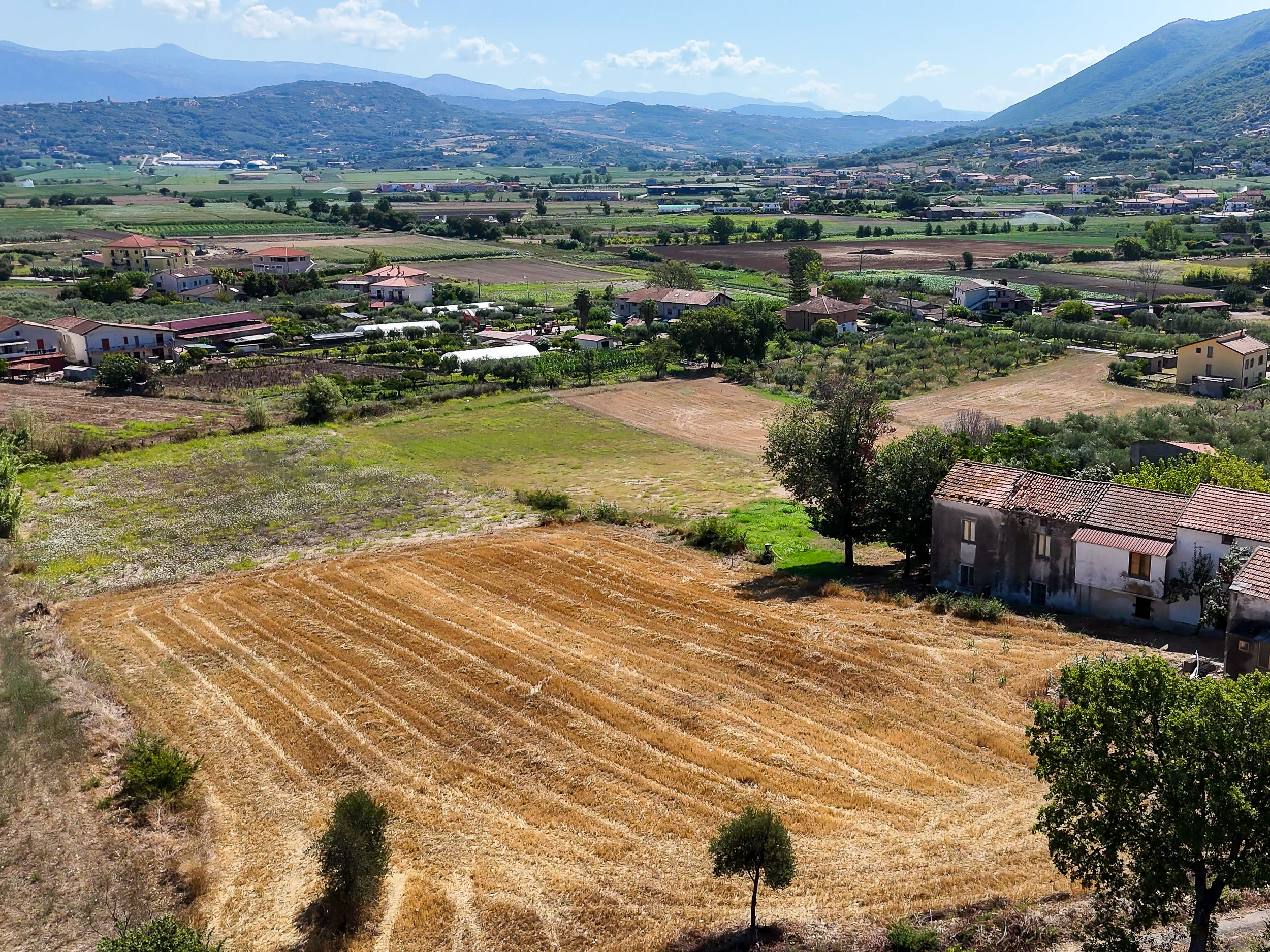 Dove le Idee Mettono Radici- Cod.Rif:150626