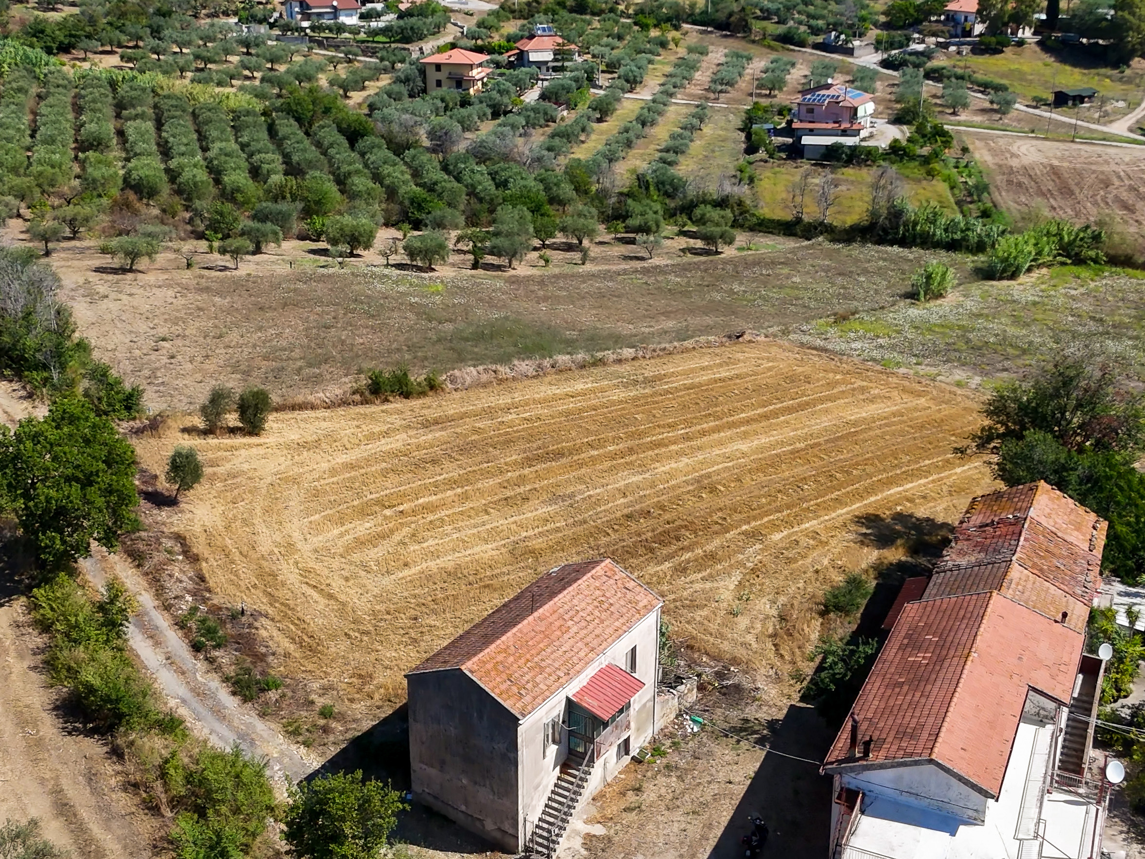 Dove le Idee Mettono Radici- Cod.Rif:150626