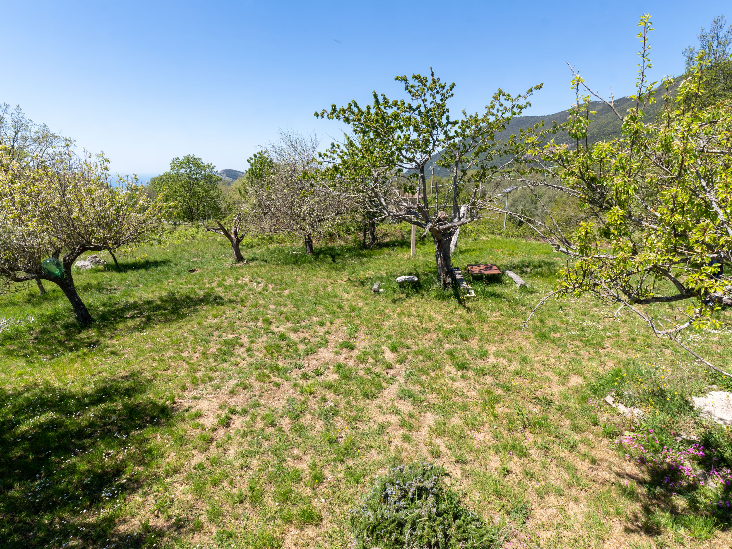 Due Case, Un Solo Luogo da Chiamare Casa-Cod.Rif:240426