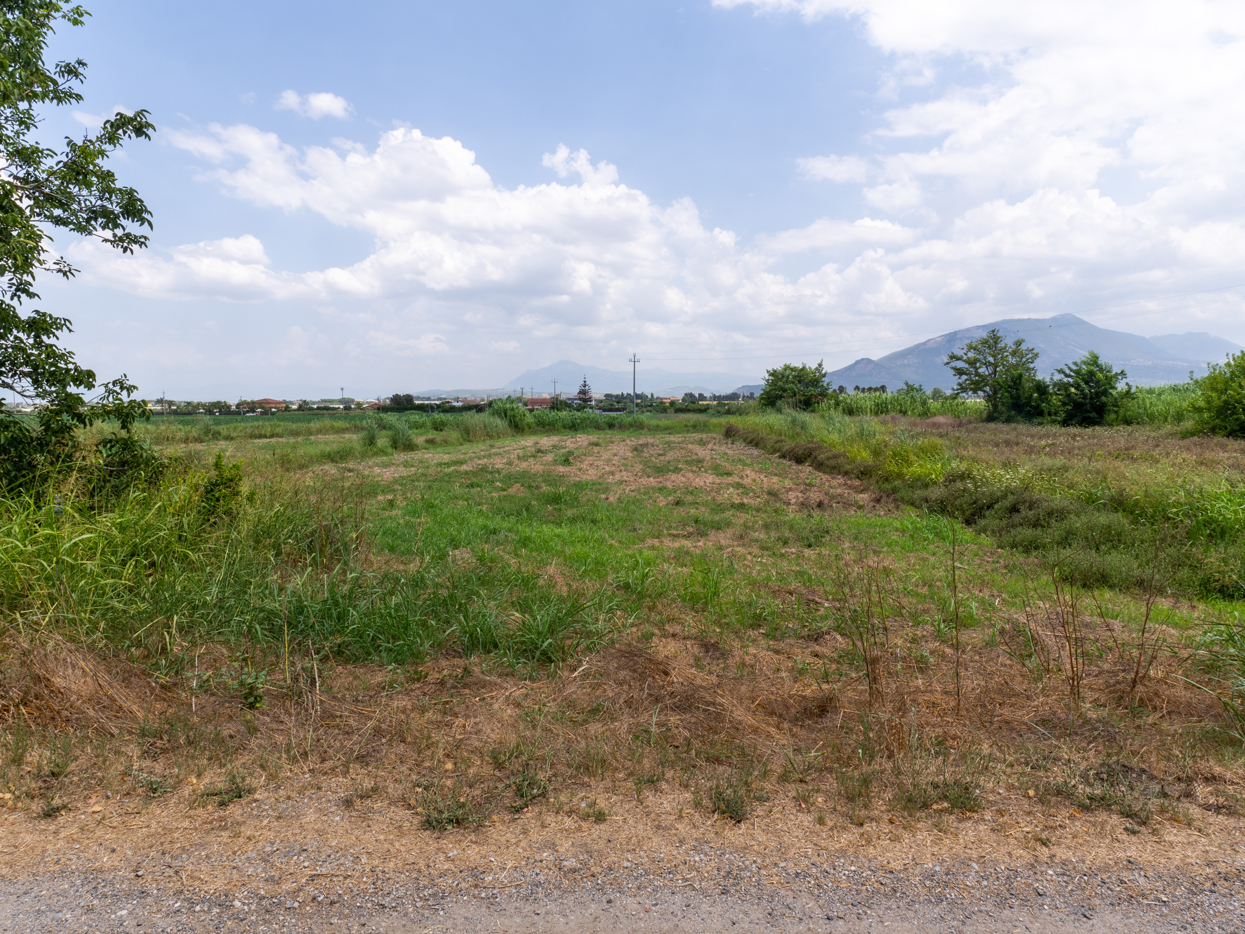 Opportunità Agricola-Cod.Rif:280726