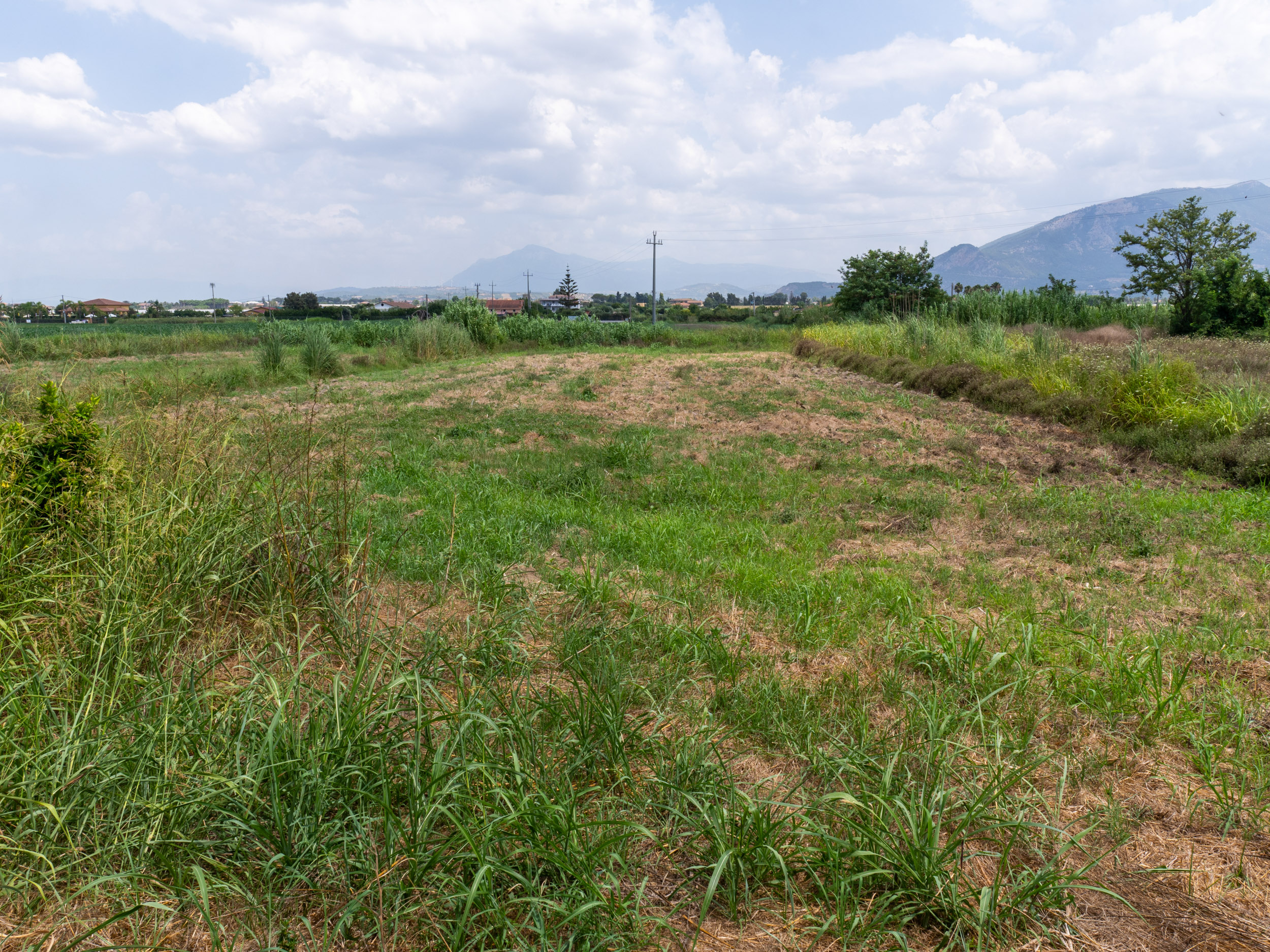 Opportunità Agricola-Cod.Rif:280726