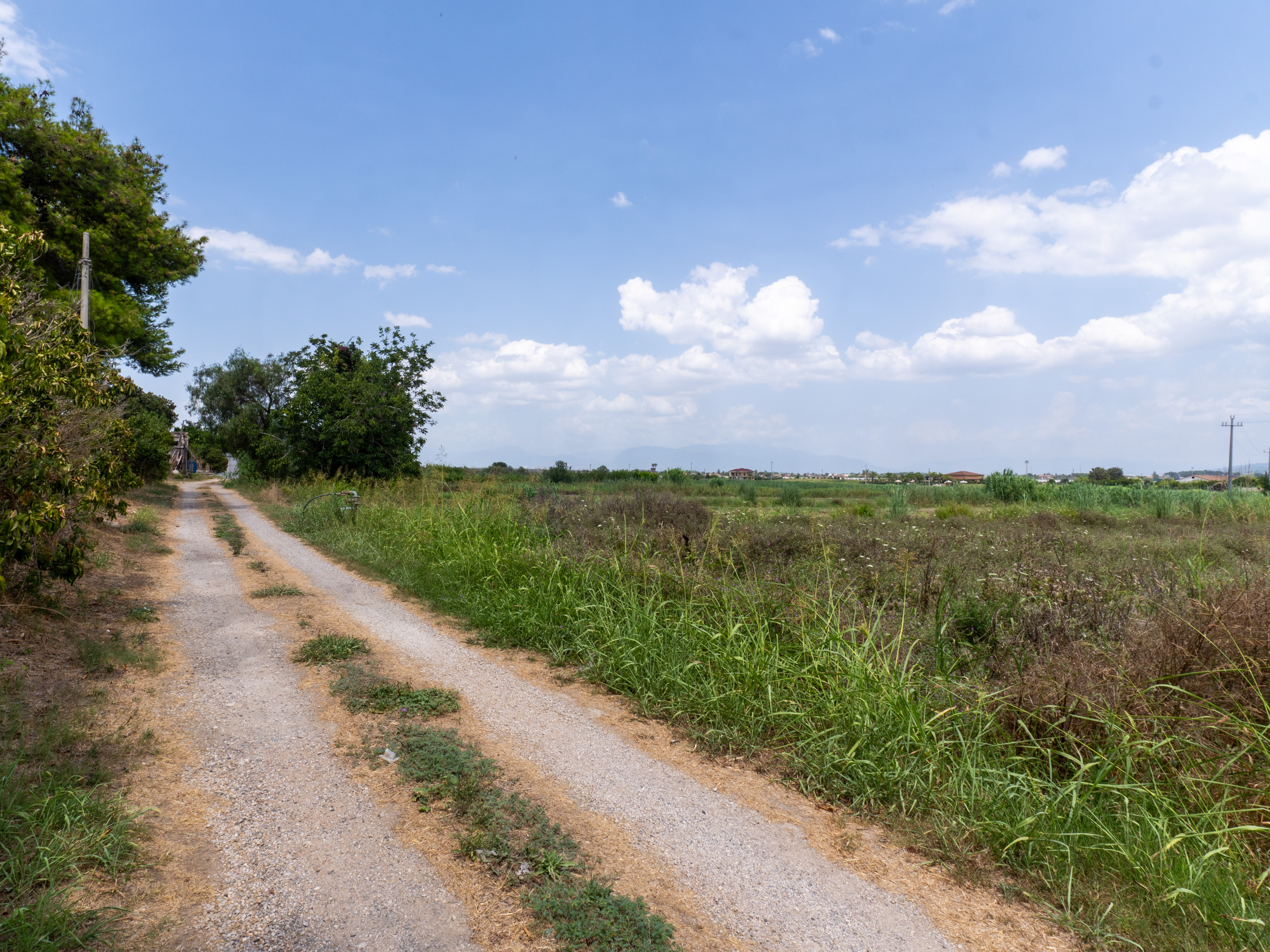 Opportunità Agricola-Cod.Rif:280726