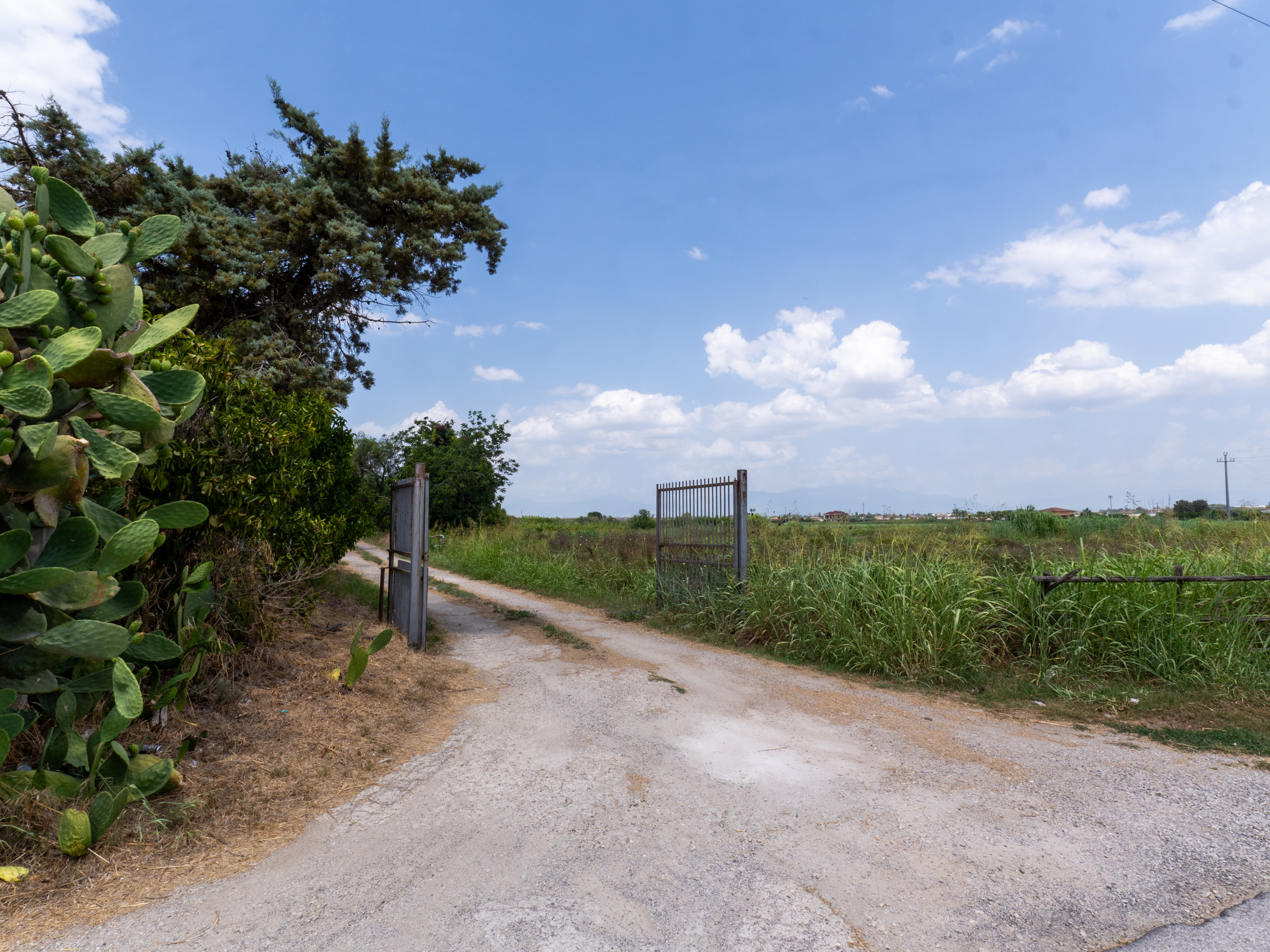 Opportunità Agricola-Cod.Rif:280726