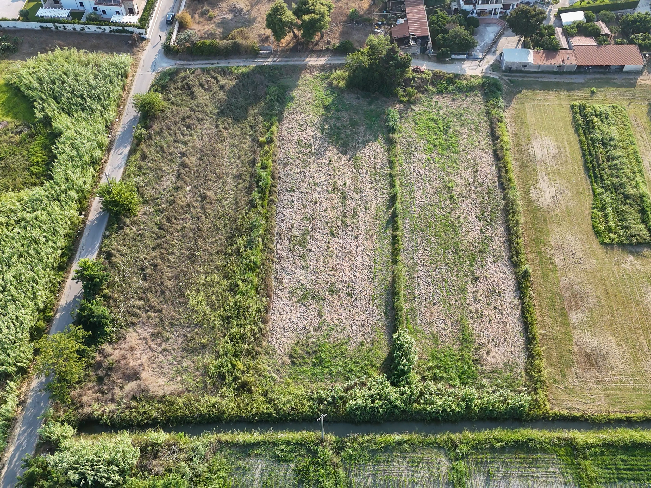 Opportunità Agricola-Cod.Rif:280726