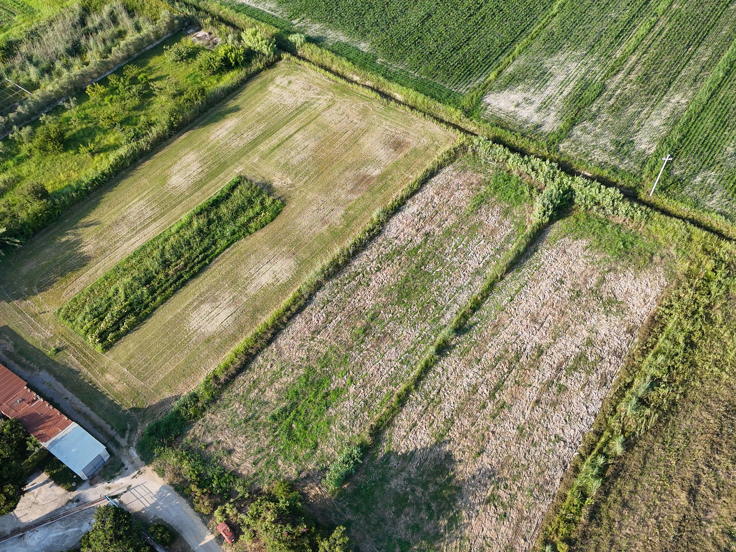 Opportunità Agricola-Cod.Rif:280726