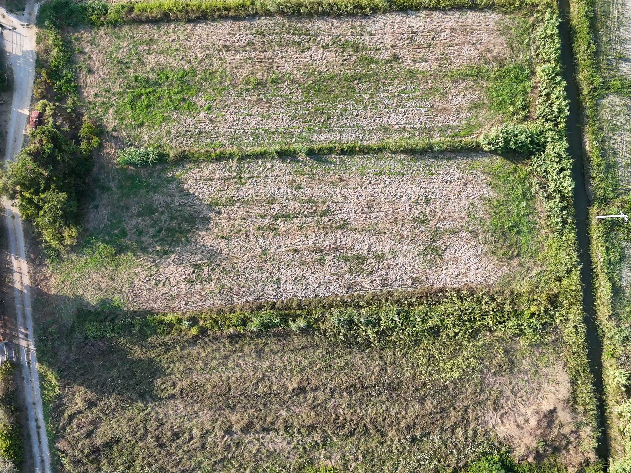 Opportunità Agricola-Cod.Rif:280726