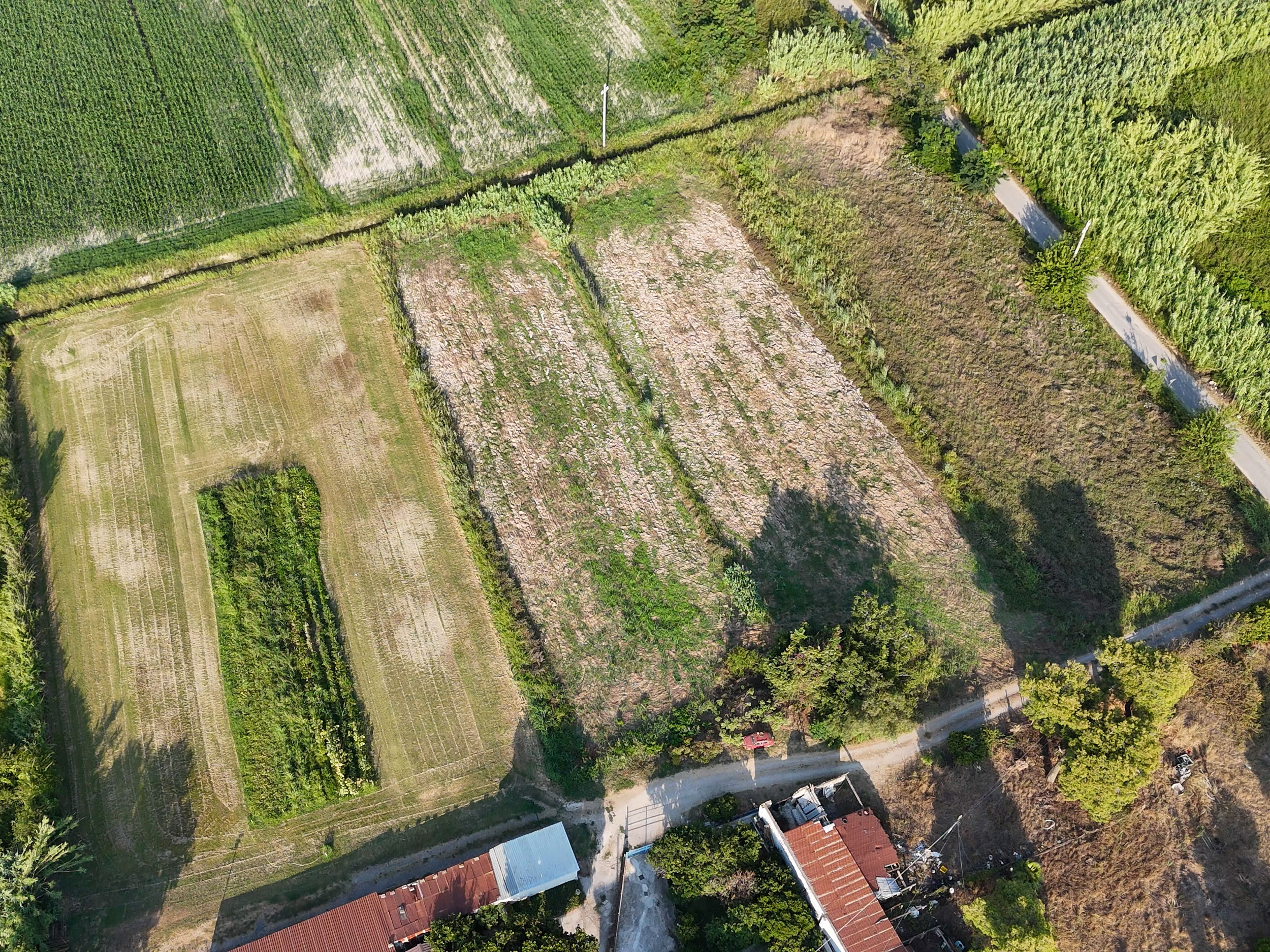 Opportunità Agricola-Cod.Rif:280726
