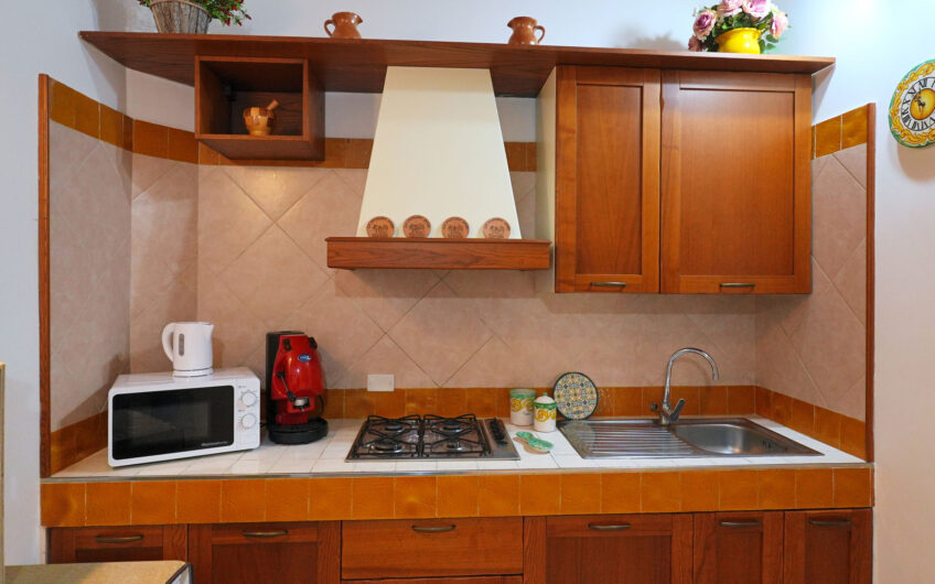 Agropoli, sul corso pedonale: soluzione con ingresso indipendente con volte in pietra Cod.Rif.230926